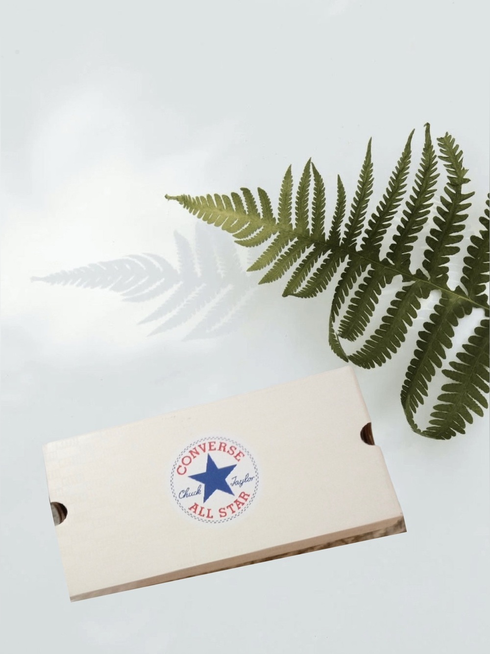 Converse White Shoe Box with Blue Star and Red Logo